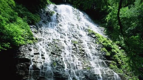 智能化电子高端